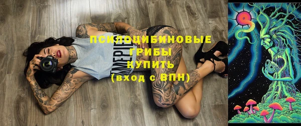 тгк Аркадак
