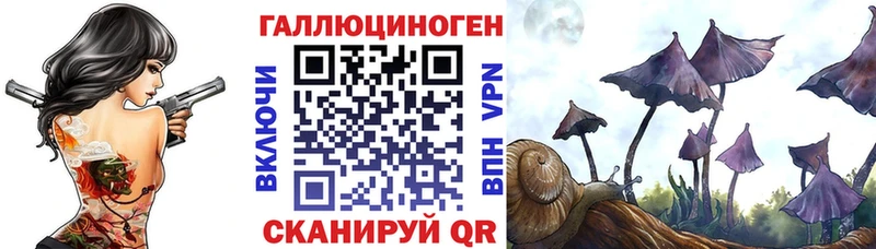 где найти наркотики  маркетплейс клад  Псилоцибиновые грибы мицелий  Удомля 